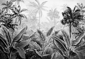 Papier Peint Panoramique Jungle Noir 368 x 254 cm