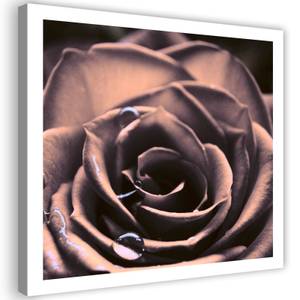 Wandbild Rose Rosa Blumen Pflanzen 40 x 40 cm