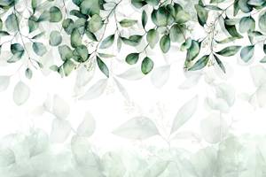 Fototapete Blätter Pflanzen Aquarell 368 x 254 x 254 cm