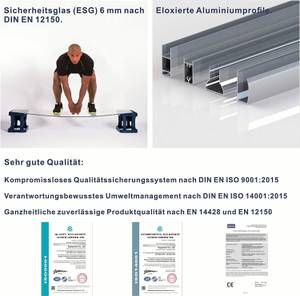 Duschkabine Eckeinstieg Schiebetür Silber - Glas - 80 x 195 x 80 cm