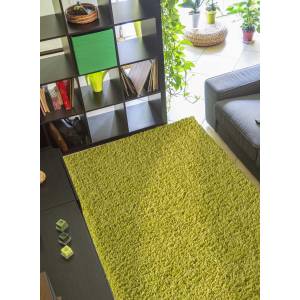 Tapis shaggy SIMPLE 160x230 vert Vert - 160 x 230 cm