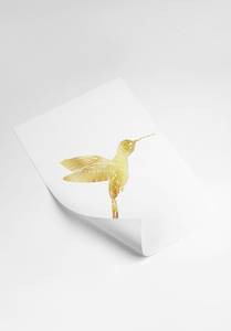 Kolibri Poster Papier - 70 x 50 x 70 cm