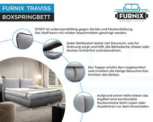 Boxspringbett Traviss Grau