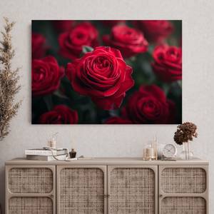 Bild Rose Blumen VII 30 x 20 cm