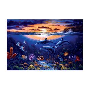 Dolphins World 360 x 240 cm