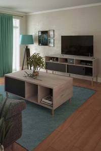 TV Tisch Penny Schwarz - Holz teilmassiv - 148 x 64 x 41 cm