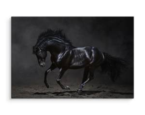 Image Sur Toile Cheval au Galop Sable 3D 40 x 30 x 30 cm