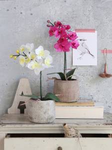 Lot de 2 orchidées artificielles en pot en pierre, 40 cm