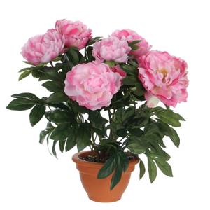 Fleur artificielle Pioenroos Rose foncé - Matière plastique - 45 x 50 x 45 cm