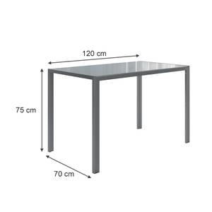 Esstisch Grand 40743 Grau - Glas - 120 x 70 x 75 cm