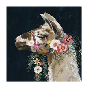 Lama mit Blumenschmuck II 60 x 60 cm