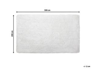 Tapis à poil long CIDE Blanc - 300 x 200 x 200 cm