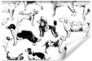 Papier Peint Pour Enfants CHIENS Animaux 368 x 254 x 254 cm