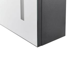 Bad-Spiegelschrank CHABUNCO Schwarz - Silber - Holzwerkstoff - 60 x 60 x 14 cm