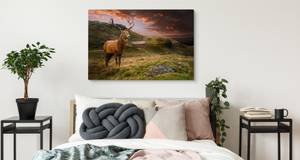 Leinwandbild HIRSCH Berge Landschaft 3D 40 x 30 x 30 cm