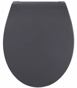 WC-Sitz mit Absenkautomatik Flat Grau Grau - Kunststoff - 38 x 6 x 47 cm
