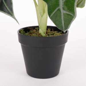 Plante artificielle Alocasia Vert - Matière plastique - Textile - 30 x 60 x 30 cm