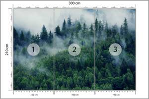 Fototapete WALD IM NEBEL Bäume Natur 3D 300 x 210 x 210 cm