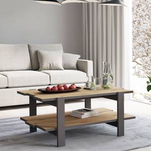 Couchtisch Leone 12 Grau - Holzwerkstoff - 110 x 46 x 60 cm