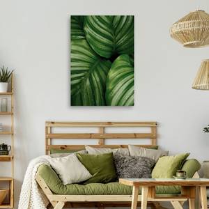 KUNSTDRUCK Monstera Leaves with Dew 2 60 x 90 cm