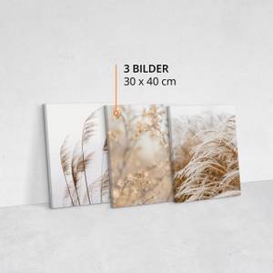 Set De Tableaux Plantes Fleurs Nature 3D Beige - Marron - Textile - 90 x 40 x 40 cm