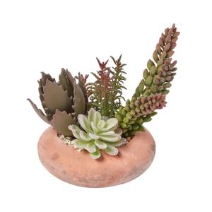 Künstlicher Succulenten Arrangement Grün - Kunststoff - 22 x 14 x 14 cm