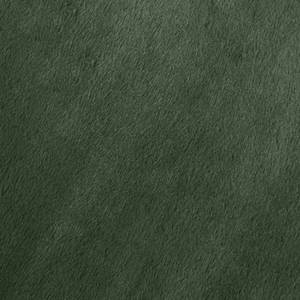 Tapis rectangulaire vert 60x110 cm Vert - Textile - 110 x 1 x 60 cm