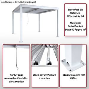 Pergola L46 Grau - Metall - 400 x 220 x 300 cm