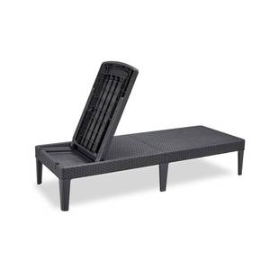 Chaise longue 432693 Gris - Matière plastique - 58 x 29 x 187 cm