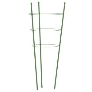 Support de plantes 3017842 (lot de 5) Hauteur : 75 cm