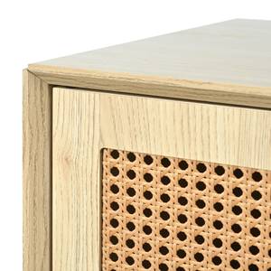 Sideboard Coeus Ⅶ Braun - Holzwerkstoff - Metall - Polyrattan - 40 x 80 x 120 cm