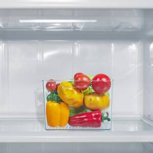Organiseur de frigo avec poignées Matière plastique - 21 x 16 x 21 cm