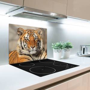 Schneidebrett bengalischer Tiger Orange - Glas - 52 x 1 x 60 cm