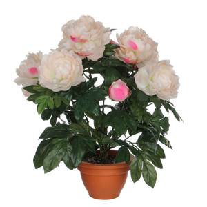 Fleur artificielle Pioenroos Rose foncé - Matière plastique - 45 x 50 x 45 cm
