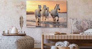 Leinwandbild Pferde Galopp Landschaft 3D 120 x 80 x 80 cm