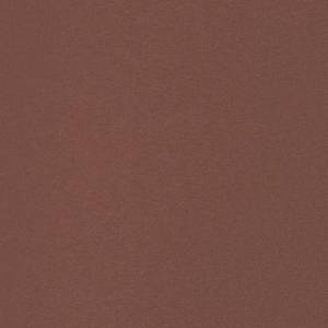 Auvent latéral 3016425-6 Marron - 300 x 140 cm