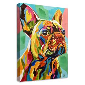 Drucken Französische Bulldogge Textil - 50 x 70 x 4 cm