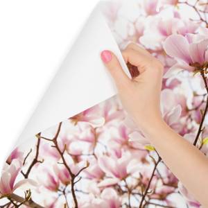 Papier Peint MAGNOLIAS Fleurs Plantes 3D 315 x 210 x 210 cm