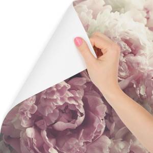 Papier peint Fleurs de pivoines 360 x 240 x 240 cm