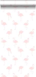 Tapete Flamingos 7236 Pink