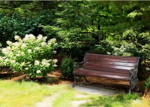 Banc en Bois Noir - Marron - Métal - Bois massif - 65 x 77 x 145 cm