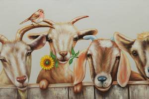 Tableau peint Curious Flock of Goats Marron - Blanc - Bois massif - Textile - En partie en bois massif - 100 x 50 x 4 cm