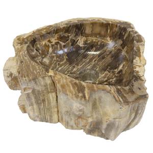 Fossiles Holz Waschbecken Sina Braun - Naturfaser - 35 x 15 x 35 cm