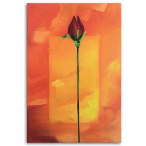 Leinwandbilder Rote Rose Blume Natur 40 x 60 cm