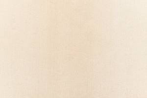 Tapis de passage Darya CDLXI Beige - Textile - 81 x 1 x 290 cm