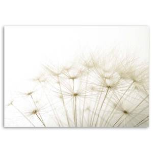 Wandbilder Pusteblume Blumen 60 x 40 cm