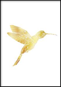 Kolibri Poster Papier - 70 x 50 x 70 cm