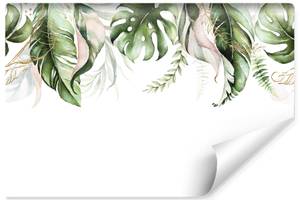 Papier Peint FEUILLES Tropicales Plantes 450 x 300 x 300 cm