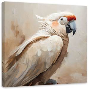 KUNSTDRUCK Majestic Cockatoo 1 30 x 30 cm