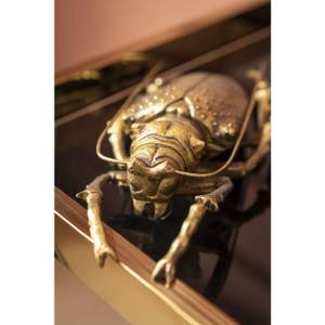 Wandschmuck Longicorn Beetle Gold - Kunststoff - 15 x 27 x 7 cm